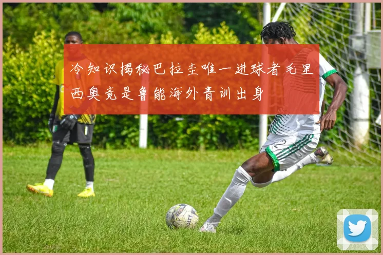 冷知识揭秘巴拉圭唯一进球者毛里西奥竟是鲁能海外青训出身