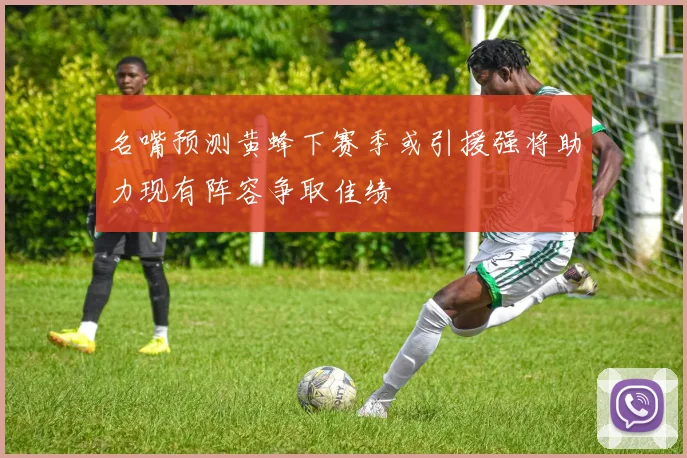 名嘴预测黄蜂下赛季或引援强将助力现有阵容争取佳绩