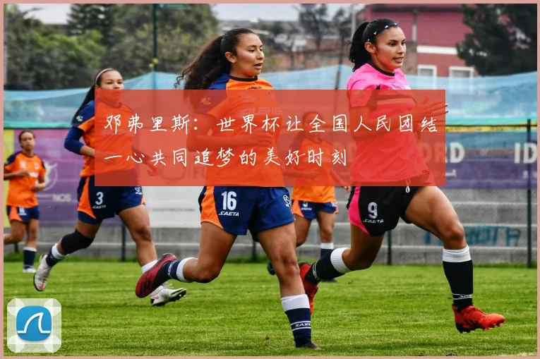 邓弗里斯：世界杯让全国人民团结一心共同追梦的美好时刻