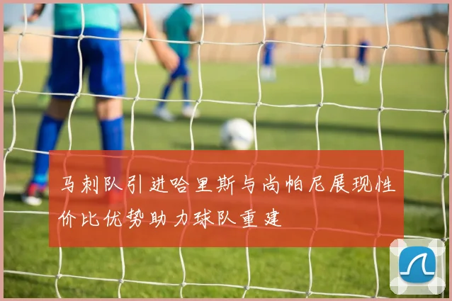 马刺队引进哈里斯与尚帕尼展现性价比优势助力球队重建
